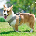 Оптовая OEM -регулируемая собачья жгут